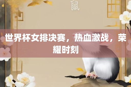世界杯女排决赛，热血激战，荣耀时刻