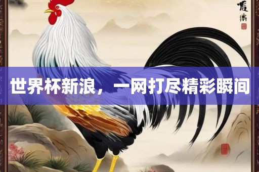 世界杯新浪，一网打尽精洛阳市法福文化传播有限公司彩瞬间