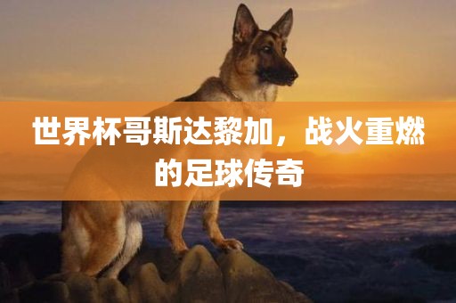 世界杯哥斯达黎加，战火重燃的足球传奇