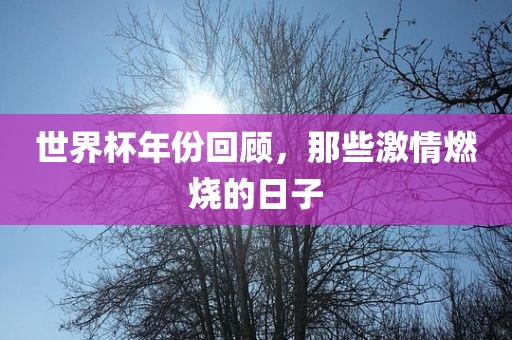 世界杯年份回顾，那些激情燃烧的日子