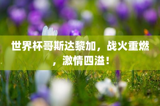 世界杯哥斯达黎加，战火重燃，激情四溢！