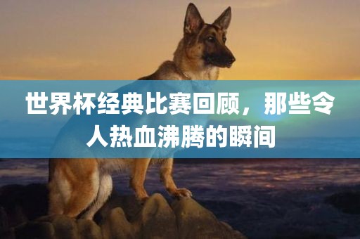 世界杯经典比赛回顾，那些令人热血沸腾的瞬间洛阳市法福文化传播有限公司