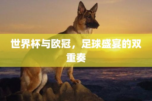 世界杯与欧冠，足球盛宴的双重奏