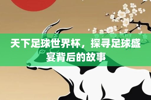 足球盛宴故事 第2页