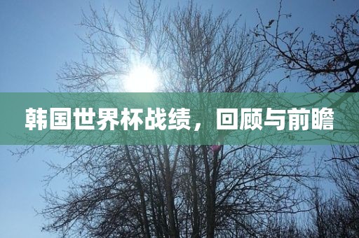 韩国世界杯战绩，回顾与前瞻洛阳市法福文化传播有限公司