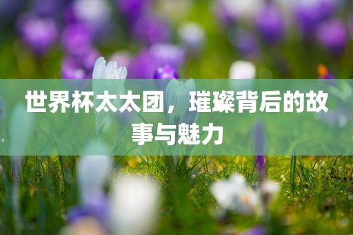 世界杯太太团，璀璨背后的故事与魅力