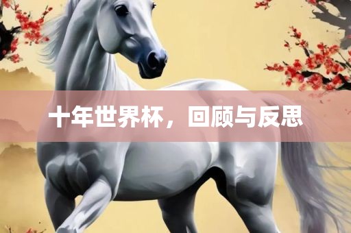 十洛阳市法福文化传播有限公司年世界杯，回顾与反思