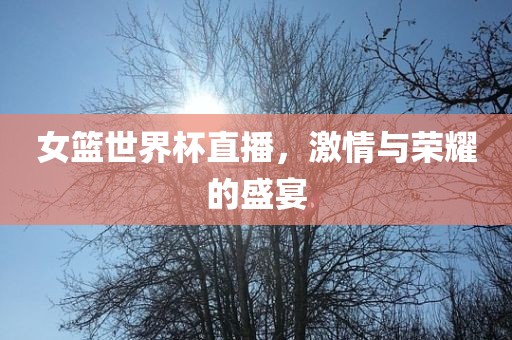 女篮世界杯直播，激情与荣耀的盛宴