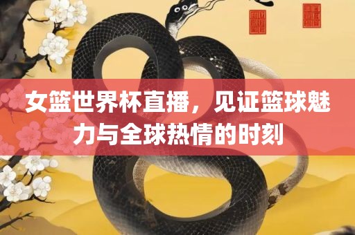 女篮世界杯直播，见证篮球魅力与全球热情的时刻
