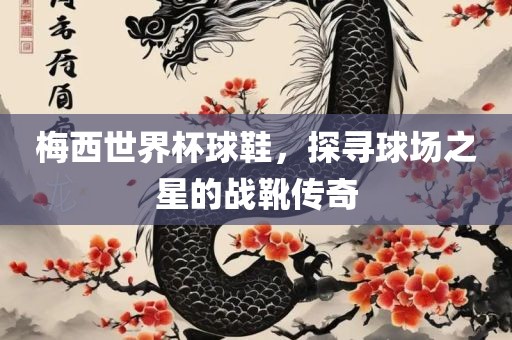 梅西世界杯球鞋，探寻球场之星的战靴传奇