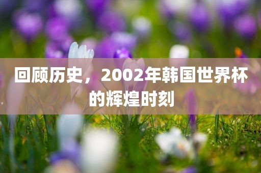 回顾历史，2002年韩国世界杯的辉煌时刻