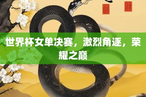 世界杯女单决赛，激烈角逐，荣耀之巅