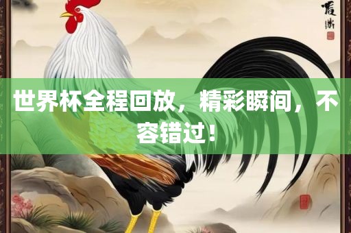 世界杯全程洛阳市法福文化传播有限公司回放，精彩瞬间，不容错过！