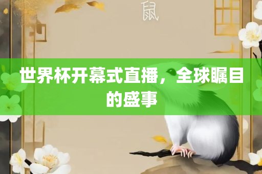 世界杯开幕式直播，全球瞩目的盛事