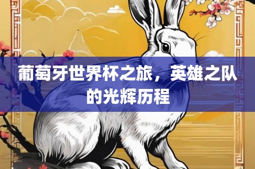葡萄牙世界杯之旅，英雄之队的光辉历程