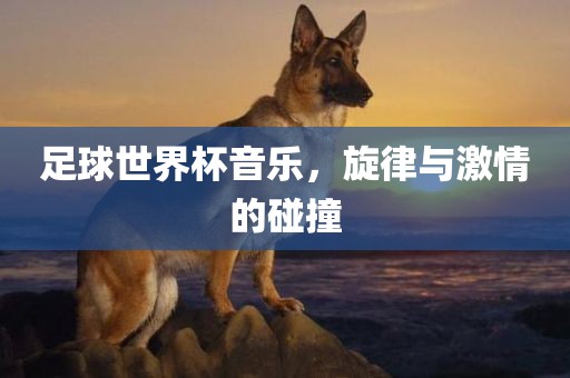 足球世界杯音乐，旋律与激情的碰撞