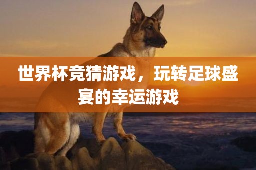世界杯竞猜游戏，玩转足球盛宴的幸运游戏