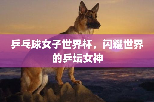 乒乓球女子世界杯，闪耀世界的乒坛女神