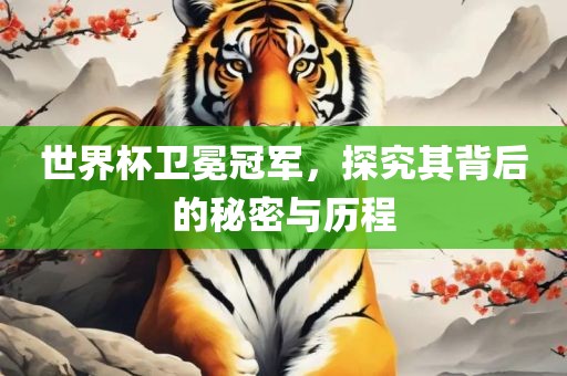 世界杯卫冕冠军，探究其背后的秘密与历程