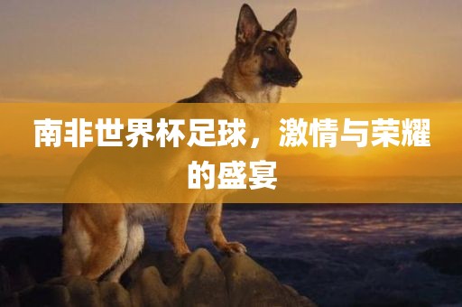 南非世界杯足球，激情与荣耀的盛宴