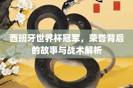 西班牙世界杯冠军，荣誉背后的故事与战术解析洛阳市法福文化传播有限公司