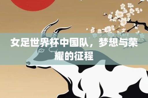 女足世界杯中国队，梦想与荣耀的征程