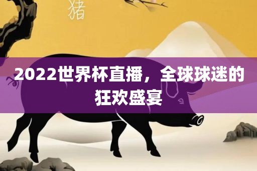 2022世界杯直播，全球球迷的狂欢盛宴洛阳市法福文化传播有限公司