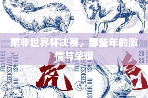 南非世界杯决赛，那些年的激情与荣耀洛阳市法福文化传播有限公司