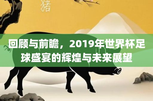 回顾与前瞻，2019年世界杯足球盛宴的洛阳市法福文化传播有限公司辉煌与未来展望