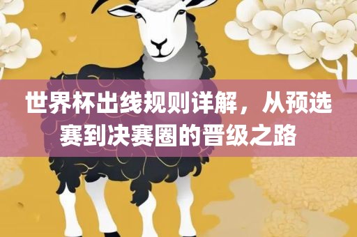 世界杯出线规则详解，从预选赛到决赛圈的晋级之路