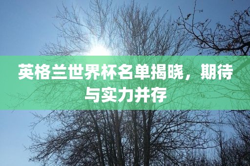 英格兰世界杯名单揭晓，期待与实力并存
