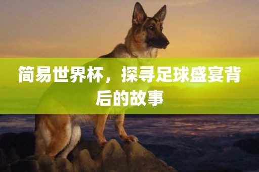 简易世界杯，探寻足球盛宴背后的故事