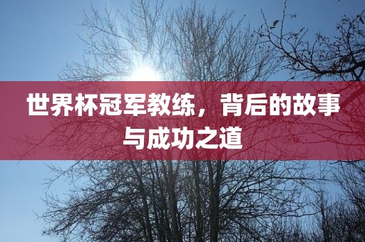 世界杯冠军教练，背后的故事与成功之道