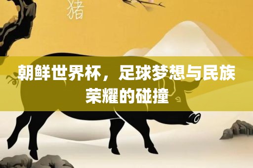 朝鲜世界杯，足球梦想与民族荣耀的碰撞