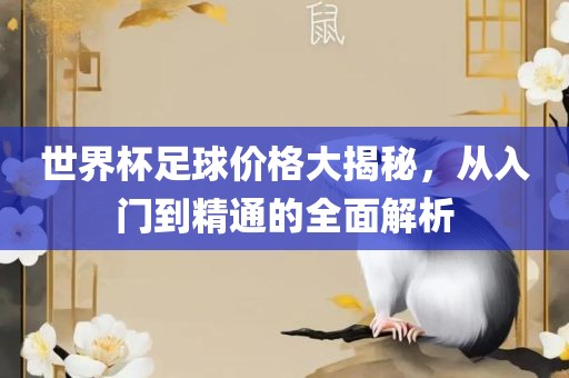 世界杯足球价格大揭秘，从入门到精通的全面解析