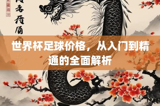 世界杯足球价格，从入门到精通的全面解析