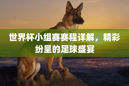 世界杯小组赛赛程详解，精彩纷呈的足球盛宴