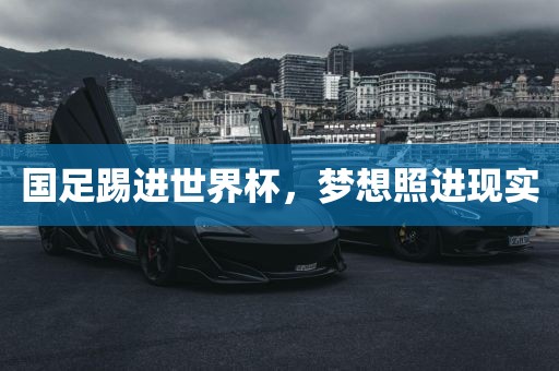 国足踢进世界杯，梦想照进现实洛阳市法福文化传播有限公司