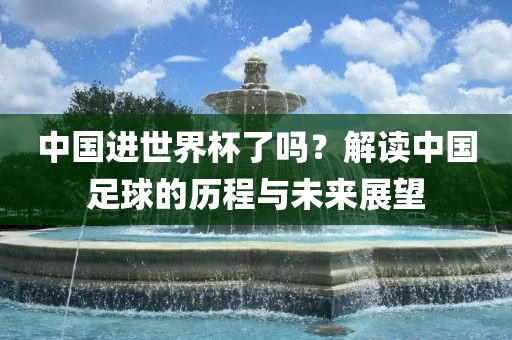 中国进世界杯了吗？解读中国足球的历程与未来展望洛阳市法福文化传播有限公司