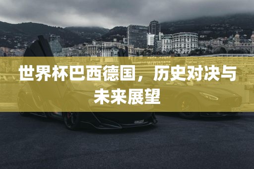 世界杯巴西德国，历史对决与未来展望洛阳市法福文化传播有限公司