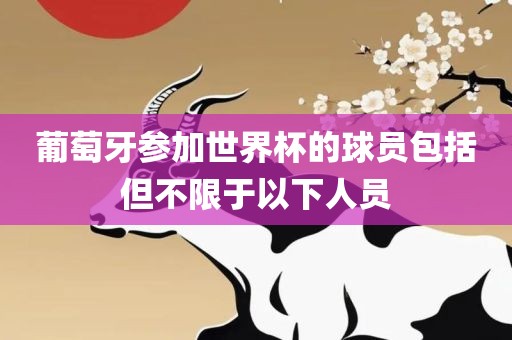 葡萄牙参加世界杯的球员包括但不限于以下人员