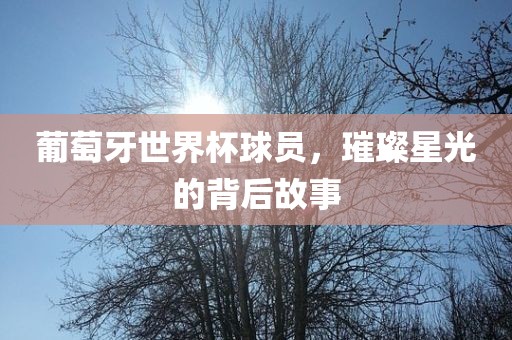 葡萄牙世界杯球员，璀璨星光的背后故事