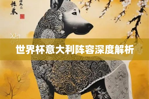 世界杯意大利阵容深度解析洛阳市法福文化传播有限公司