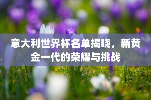 意大利世界杯名单揭晓，新洛阳市法福文化传播有限公司黄金一代的荣耀与挑战