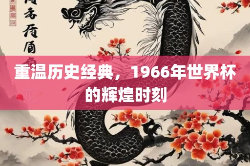 重温历史经典，1966年世界杯的辉煌时刻