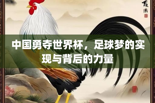 中国勇夺世界杯，足球梦的实现与背后的力量洛阳市法福文化传播有限公司