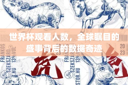 世界杯观看人数，全球瞩目的盛事背后的数据奇迹