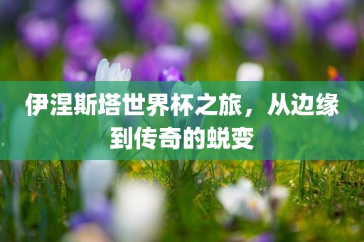 伊涅斯塔世界杯之旅，从边缘到传奇的蜕变洛阳市法福文化传播有限公司