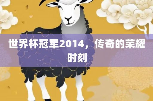 世界杯冠军2014，传奇的荣耀时刻