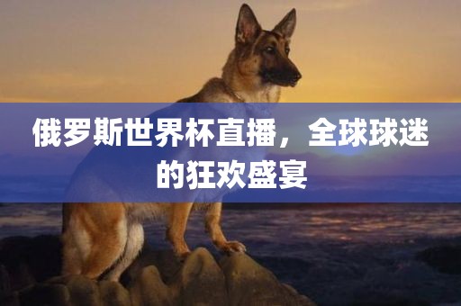 俄罗斯世界杯直播，全球球迷的狂欢盛宴